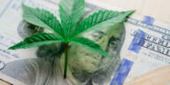 Budding Opportunities: Best Cannabis Investments