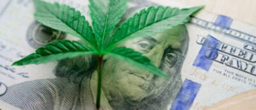 Budding Opportunities: Best Cannabis Investments