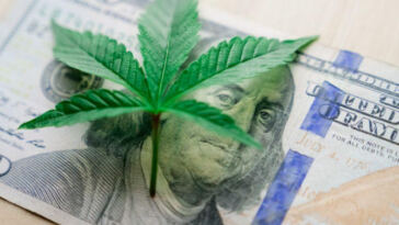 Budding Opportunities: Best Cannabis Investments