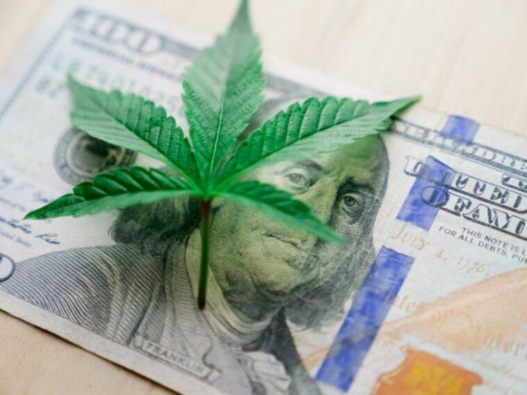 Budding Opportunities: Best Cannabis Investments