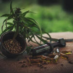 The Healing Power of CBD in Holistic Therapies