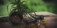 The Healing Power of CBD in Holistic Therapies