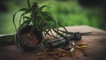 The Healing Power of CBD in Holistic Therapies