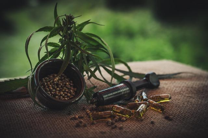The Healing Power of CBD in Holistic Therapies