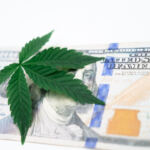 The Green Revolution: Cannabis Legalization Latest News