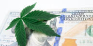 The Green Revolution: Cannabis Legalization Latest News