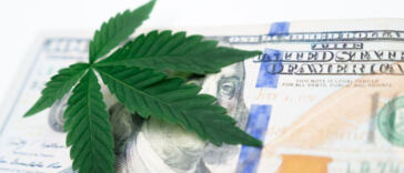 The Green Revolution: Cannabis Legalization Latest News
