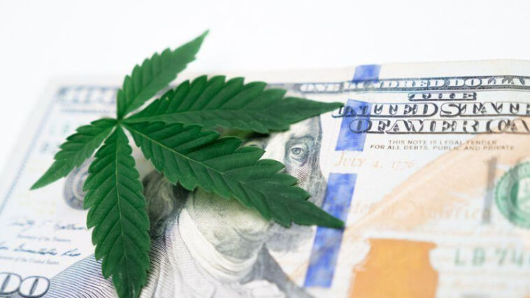 The Green Revolution: Cannabis Legalization Latest News