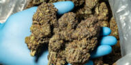 Mellow Microdosing: Choosing the Best Cannabis Strains