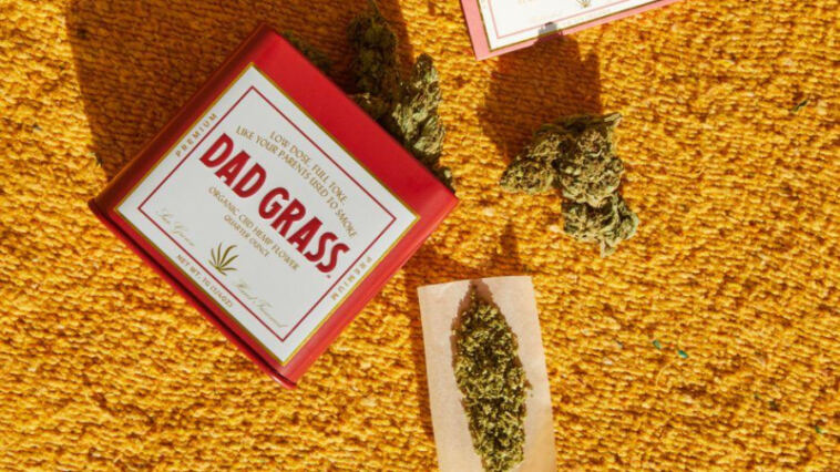 Optimal Options: Best Strains for Cannabis Microdosing