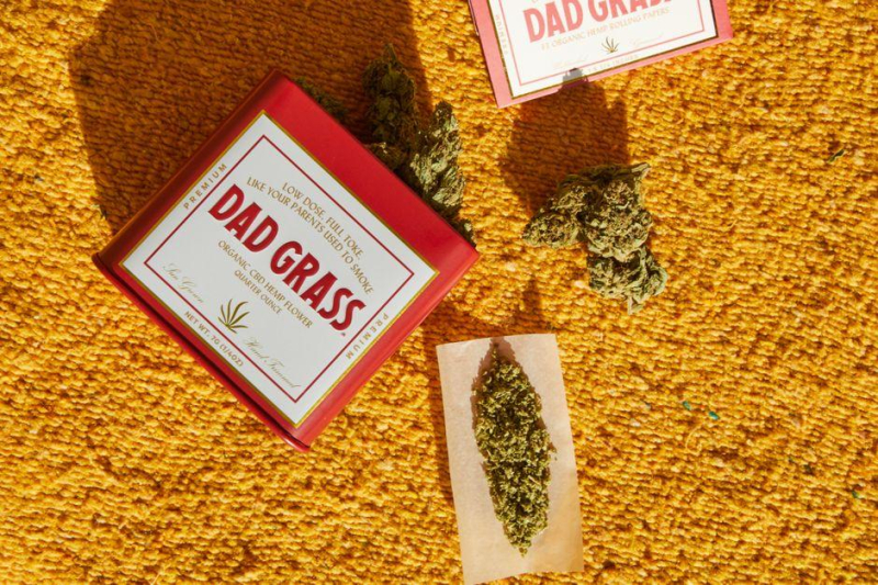 Optimal Options: Best Strains for Cannabis Microdosing