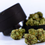 Creative Canvas: Top Strains for Artistic Inspiration
