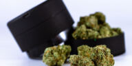 Creative Canvas: Top Strains for Artistic Inspiration