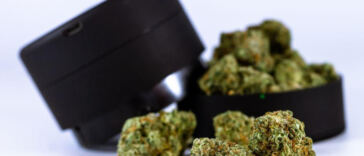 Creative Canvas: Top Strains for Artistic Inspiration
