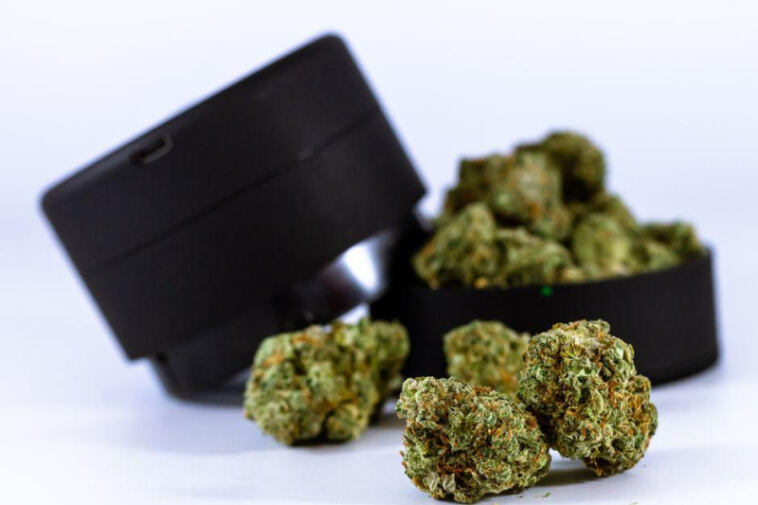 Creative Canvas: Top Strains for Artistic Inspiration