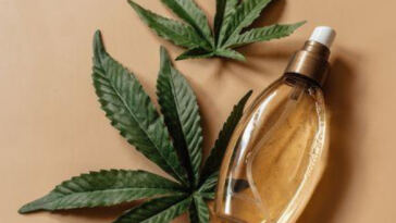 Cannabis-Infused Haircare: Natural Solutions for Healthier Locks