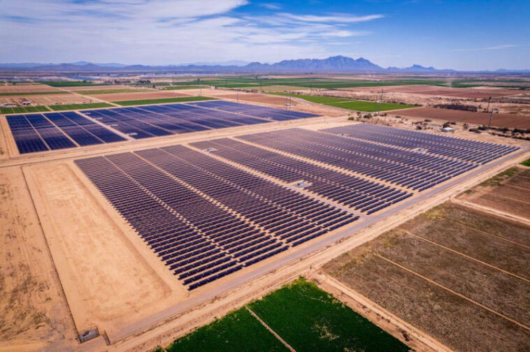 Green Light: Building a Solar-Powered Cannabis Farm