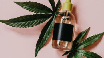 Unlocking the Potential: CBD for Heart Health