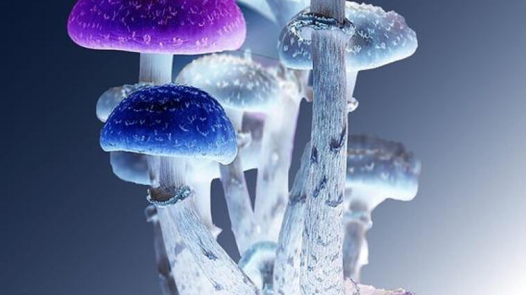 The Synergistic Effects of Microdosing Cannabis with Psilocybin