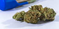 Pop Culture Potency: Marijuana Strains Inspired by Media Madness