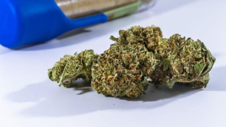 Pop Culture Potency: Marijuana Strains Inspired by Media Madness