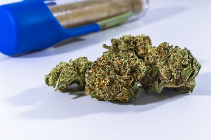Pop Culture Potency: Marijuana Strains Inspired by Media Madness
