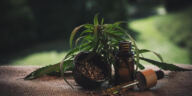 Slumber Savior: CBD’s Natural Aid for Insomnia