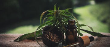 Slumber Savior: CBD’s Natural Aid for Insomnia