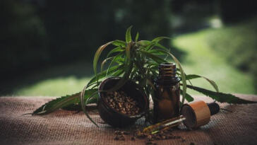 Slumber Savior: CBD’s Natural Aid for Insomnia