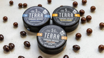Sip and Taste: The Art of Pairing Cannabis Edibles with Wine